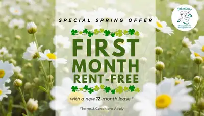 This mid-rise apartment property is a haven for young families and couples alike. These Brampton apa...