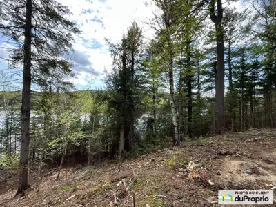 Magnifique terrain riverain Lot 3 sur le lac Newcombe, Val-des-Monts (QC) Le lot 3 vous offre l'oppo...