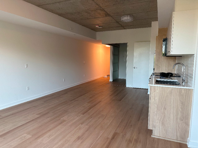 1 Bedroom Condo For Rent - Available NOW!!! in Short Term Rentals in Ottawa