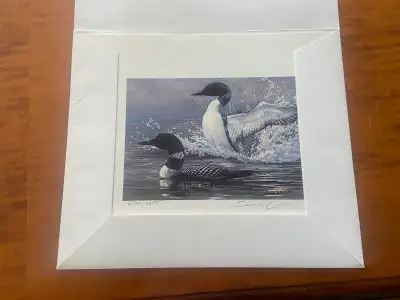 Morning Display-Common Loons. Ducks  Unlimited. James Lester, View more