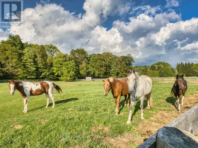 503 METLER ROAD Pelham (North Pelham), Ontario in Land for Sale in St. Catharines - Image 20