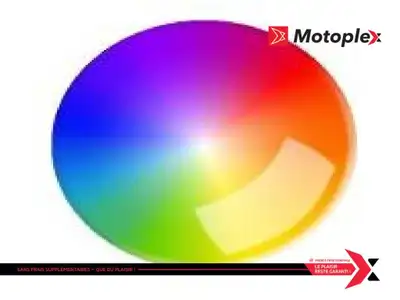 Motoplex Mirabel 2025 Campagna T-REX RR Customize/ Personaliser votre t-rez Commande special T-REX R...