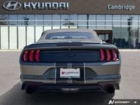 *2019 Ford Mustang EcoBoost Premium Convertible | Automatic | Turbocharged | Low KM* Iconic design m... (image 3)