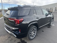 AMVIC Licensed Dealer 2026 GMC Terrain Denali AWD Exterior: Ebony Twilight Metallic Interior: After... (image 8)