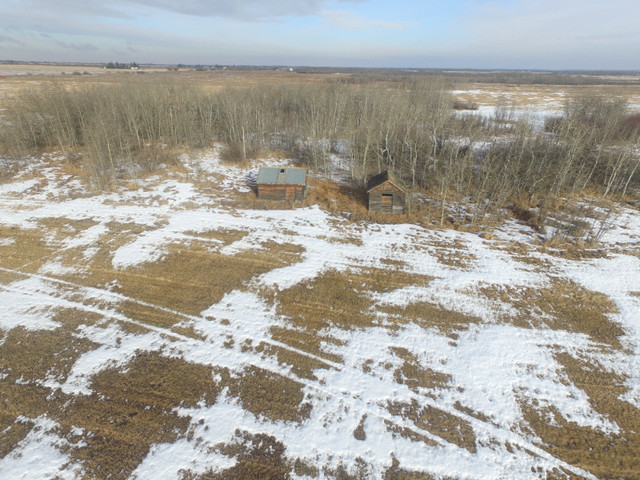 75 Acres of Farm Land, Available in a Timed Online Auction in Land for Sale in Strathcona County - Image 2