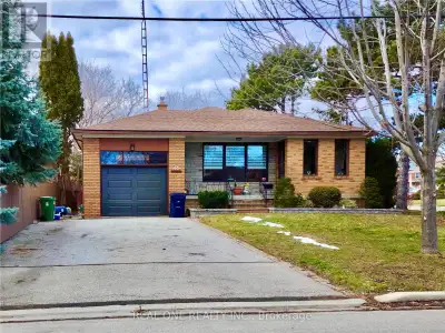 LOWER - 65 DEWLANE DRIVE Toronto (Newtonbrook West), Ontario