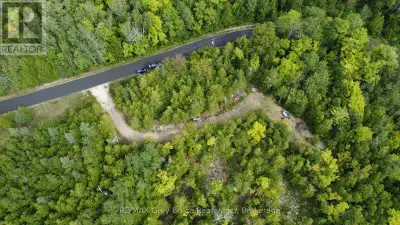 If you're looking for some acreage with plenty of privacy - look no further! Enjoy this 40 acres of...