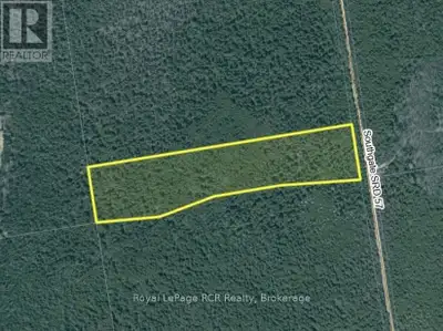 7.2 acres in Southgate on seasonally maintained road. This treed property is a good place for hunt c...