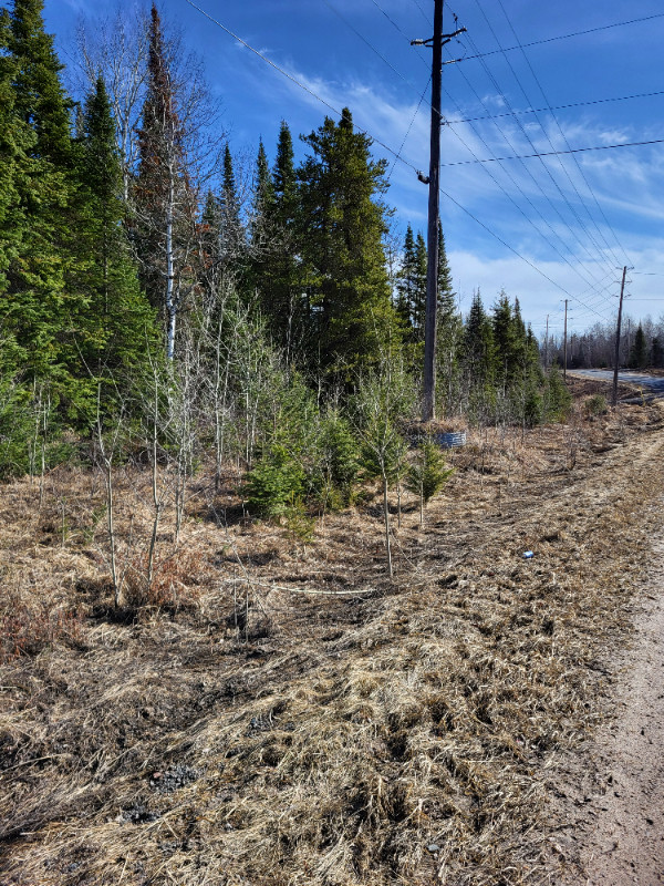 Vacant Land - Lot 3 Jones Road in Land for Sale in Kenora - Image 4
