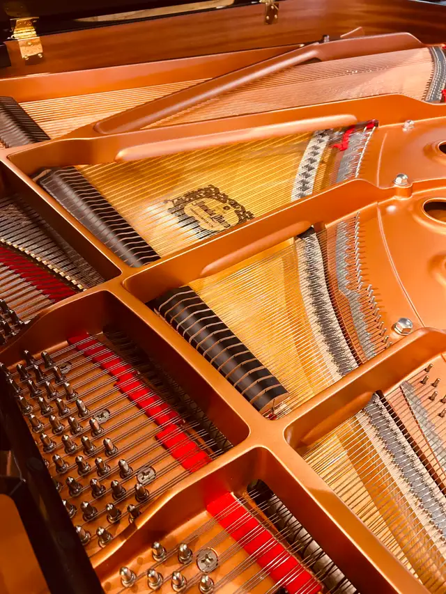 PIANO YAMAHA C3X (2017) in Pianos & Keyboards in City of Montréal - Image 3