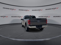 // ACCIDENT FREE!! // Built to work hard and drive with confidence, this 2023 Ford F-150 XLT Reg Cab... (image 6)