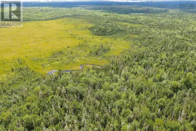 TBD Canada Hill Road Allendale, Nova Scotia in Land for Sale in Yarmouth - Image 11