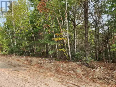 Lot 69 Turner Point Road offers just over 2 acres of untouched potential! Build your dream home or c...
