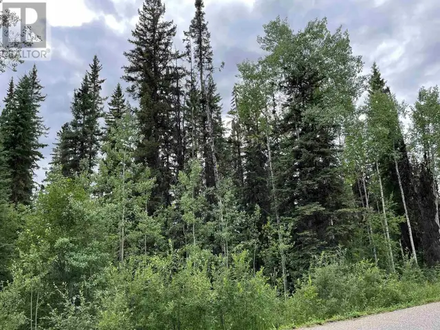 LOT A JARDINE ROAD Cluculz Lake, British Columbia in Land for Sale in Vanderhoof - Image 4