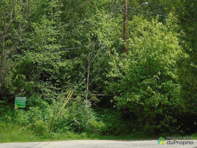 $1,540,000 - Residential Lot in Mont-Tremblant (St-Jovite) — photo 3