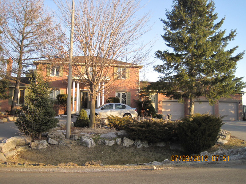 Aurora/Stouffville 1 bedroom 1,249 all in wifi, air,parking Long