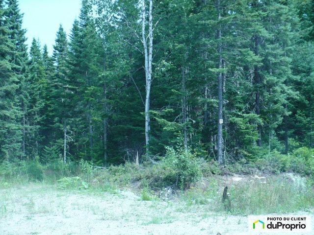 $60,000 - Land to be developed for sale in St-Tite-Des-Caps — photo 3