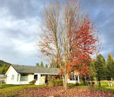 Beautiful, updated Ranch on private near flat 22 acres. This property offers the full package, from...
