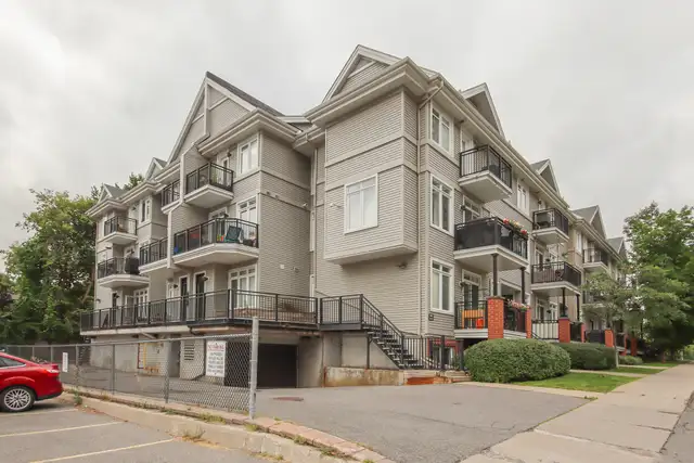 414D Nepean Street West - Move-In Ready! - D Apartment for Rent