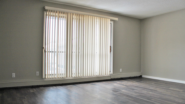 Inglewood Apartment For Rent | Camelia Court in Long Term Rentals in Edmonton - Image 4