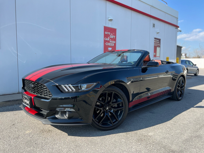 UNLEASH THE STREETS — 2016 FORD MUSTANG ECOBOOST PREMIUM CONVERTIBLE This isn’t just a car — it’s a...