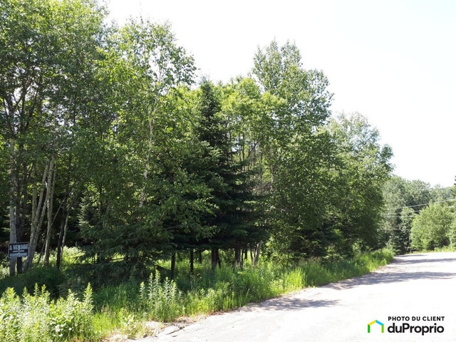 $99,500 - Residential Lot for sale in St-Michel-Des-Saints — photo 2
