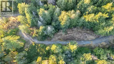 Prime development opportunity to own one or more West Coast wilderness building lots. Picture waking...