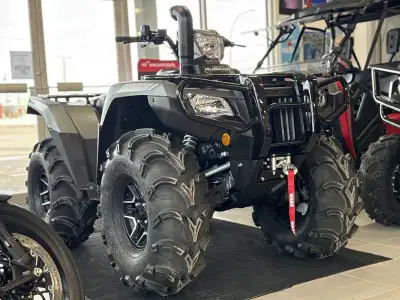 2026 Honda Rubicon Deluxe Automatic, upgraded with 30x12 Mudlite XXL's, Super ATV High Clearance Pow...
