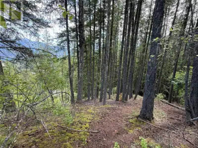 Three 50 X 125 lots just outside of Kaslo village limits. Affordable, private and currently unzoned....