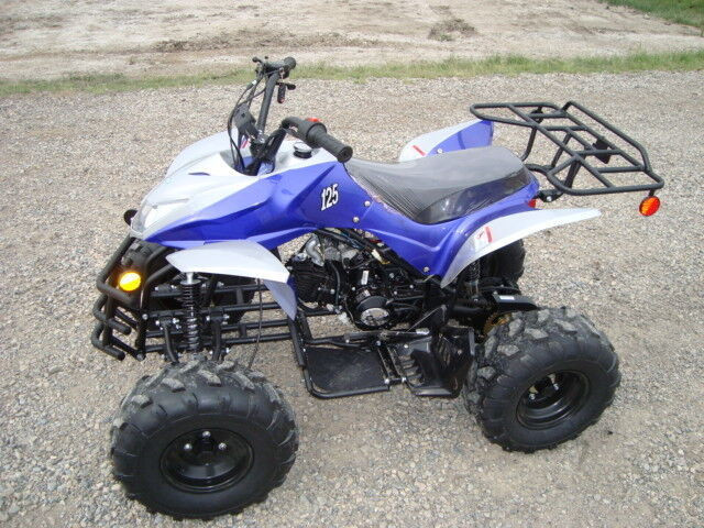 SPRING SAVINGS ON KIDS/ADULTS ATVS/DIRT BIKES/DUNE BUGGYS in ATV Parts, Trailers & Accessories in Brandon - Image 4