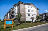 Broadstreet's Parkside Terrace offers 1, 2, and 3 bedroom pet friendly apartments for rent in the ch... (image 8)