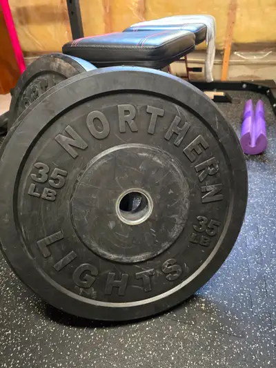 2 × 35 lb Olympic rubber plates, View more