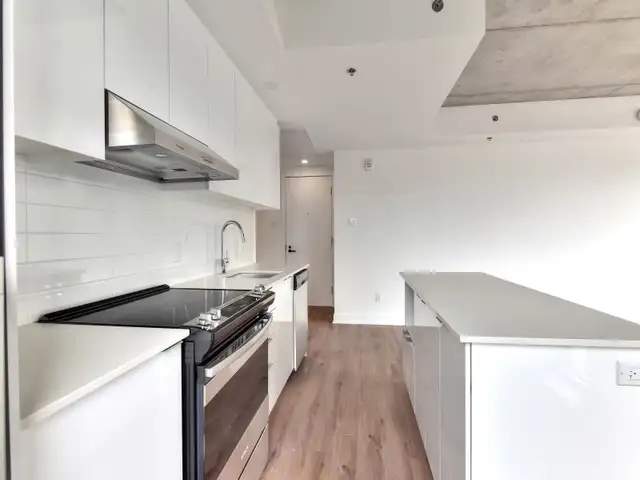 4 1/2-Condo Apartment for rent-Latin Quarter metro Berri62864749969538123