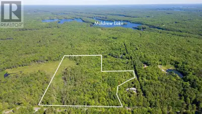 Incredible opportunity to own a piece of beautiful Muskoka. If you are an outdoor enthusiast this la...