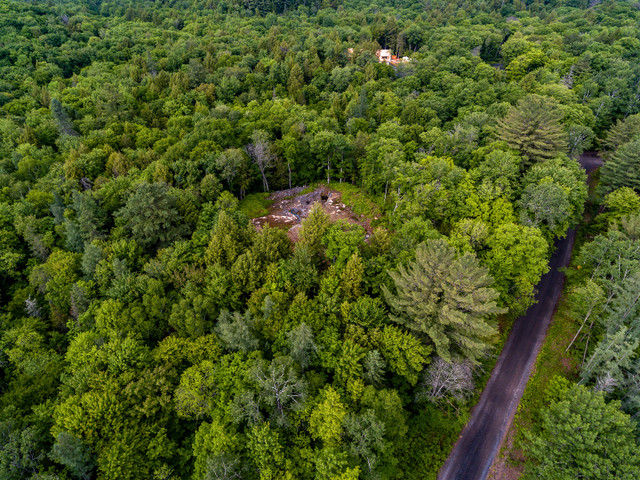 Prestigious 9.39-acre mature forested property in Land for Sale in Muskoka - Image 4