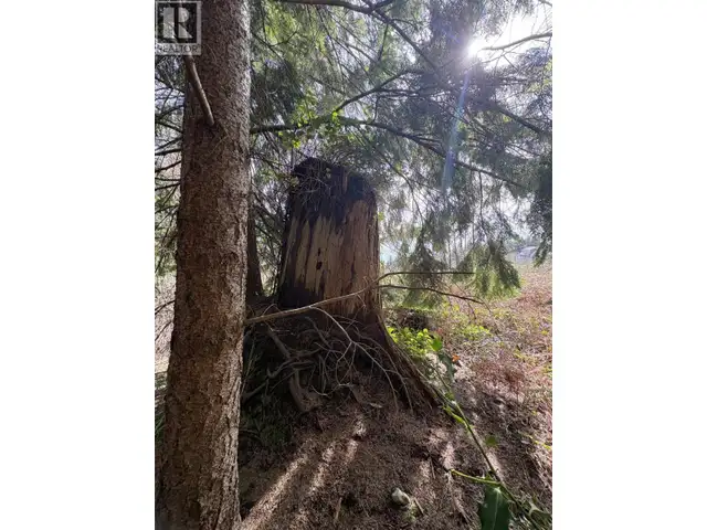 LOT D WOODLAND AVENUE Gibsons, British Columbia in Land for Sale in Sunshine Coast - Image 13