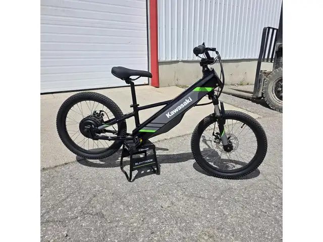 2025 Kawasaki Elektrode 20 in Dirt Bikes & Motocross in Brantford - Image 5