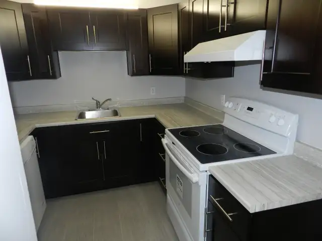 SPACIOUS TWO BEDROOM TWO BATHROOM APARTMENT AVAILABLE- DOWNTOWN  in Long Term Rentals in Dartmouth - Image 3