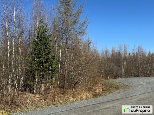 $148,000 - Residential Lot for sale in St-Denis-De-Brompton — photo 3
