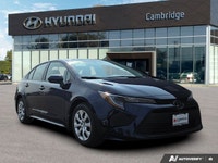 PREVIOUS DAILY RENTAL The *2024 Toyota Corolla LE* is the latest evolution of the world's best-selli... (image 6)