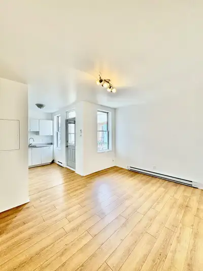 3 1/2 à Hochelaga, électros inclus, dispo dès le 1er juillet!