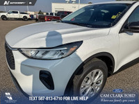 Thanks for viewing our Cam Clark Ford Inventory! WAS: $38544 NOW: $37544 plus taxes and licensing fe... (image 8)
