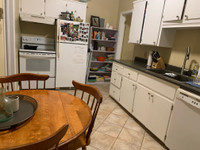 Downtown One Bedroom | Aug 1st |