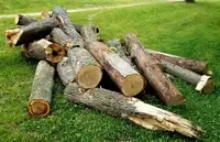 Free wood log drop off