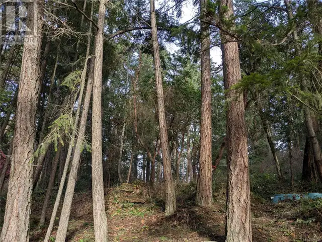 174 Pirates Lane Protection Island, British Columbia62863761518851121