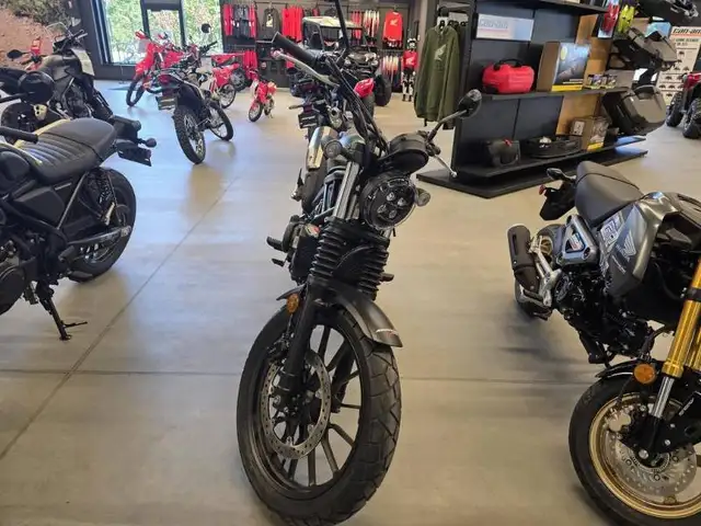 2024 HONDA SCL500 in Street, Cruisers & Choppers in Lévis - Image 3