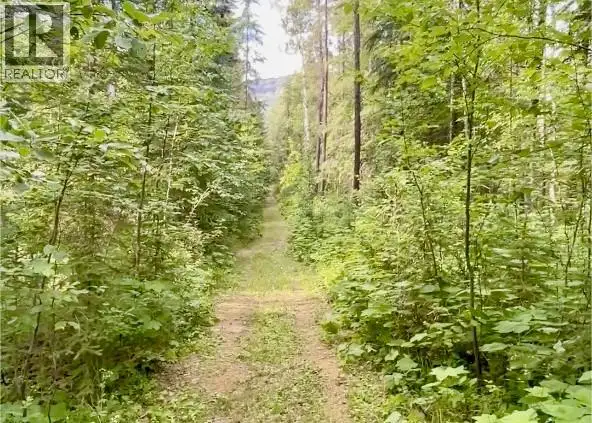 Lot 1 Neville Road Golden, British Columbia in Land for Sale in Revelstoke - Image 6