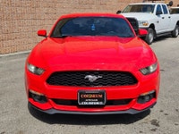 { CERTIFIED PRE-OWNED } THIS VEHICLE COMES FULLY CERTIFIED WITH A SAFETY CERTIFICATE SERVICED AT NO... (image 7)