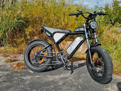 1500W Retro Electric Bike - Powerful Ebike 55km/h - Financing, View more