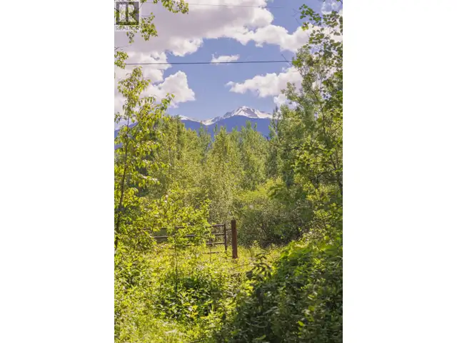 DL 5314 HORSESHOE LAKE ROAD McBride, British Columbia in Land for Sale in Quesnel - Image 10